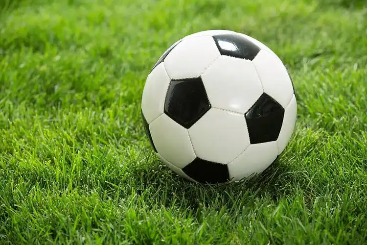 雷速体育数据分析展示界面